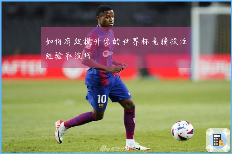 如何有效提升你的世界杯竞猜投注经验和技巧