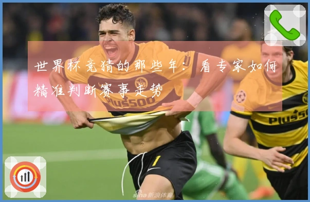 世界杯竞猜的那些年：看专家如何精准判断赛事走势