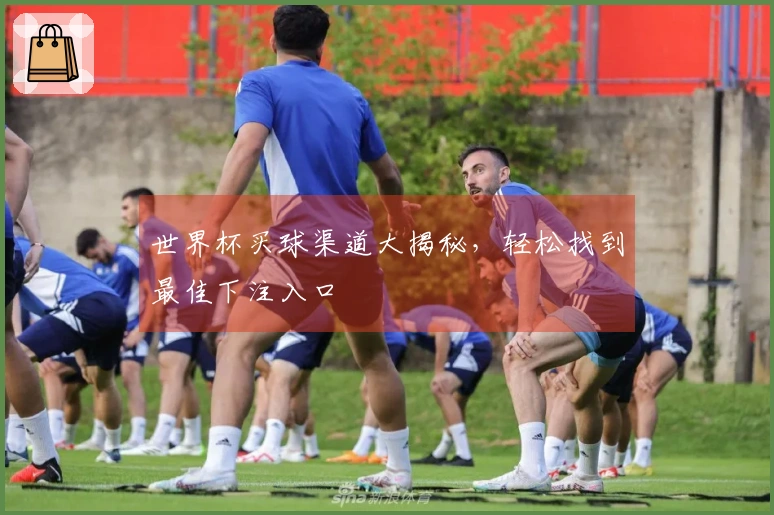 世界杯买球渠道大揭秘，轻松找到最佳下注入口