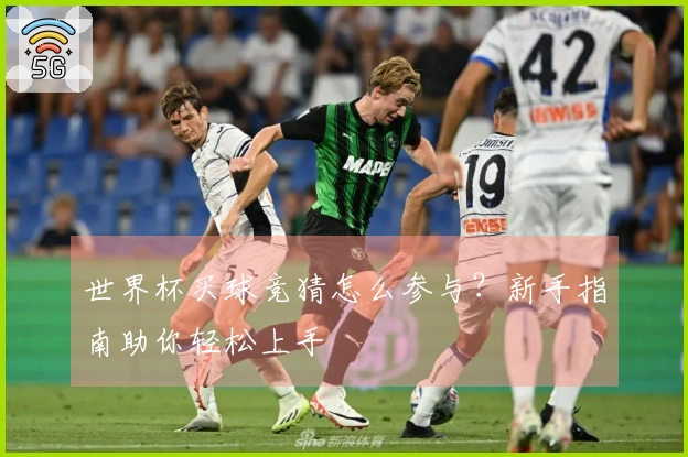 世界杯买球竞猜怎么参与？新手指南助你轻松上手