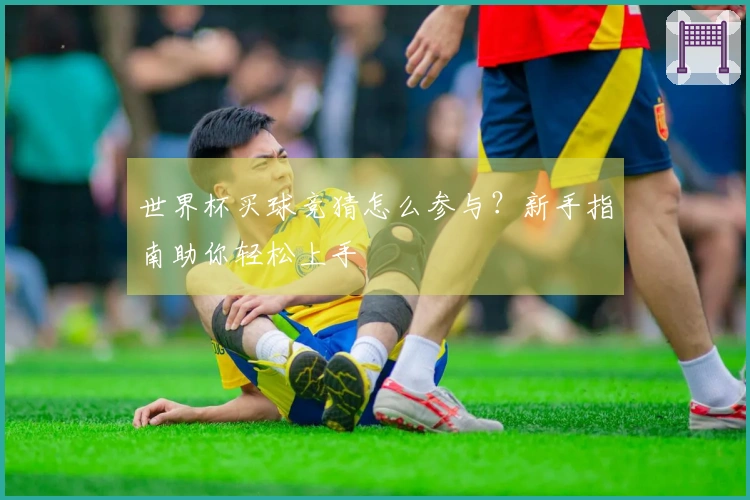 世界杯买球竞猜怎么参与？新手指南助你轻松上手