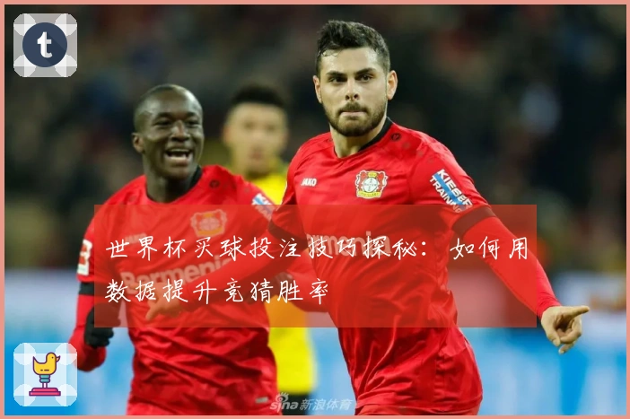 世界杯买球投注技巧探秘：如何用数据提升竞猜胜率